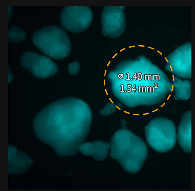 Figure 18