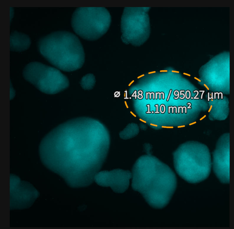 Figure 21