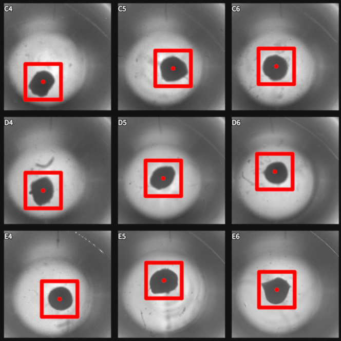 Figure 23
