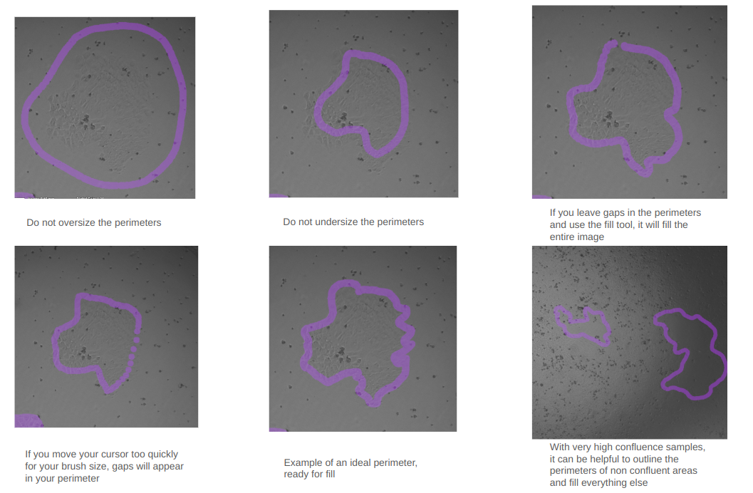 Figure 30