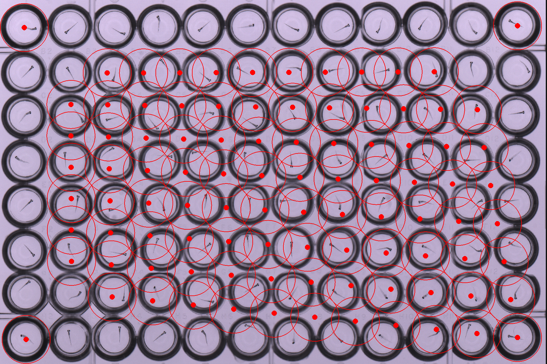 Figure 32