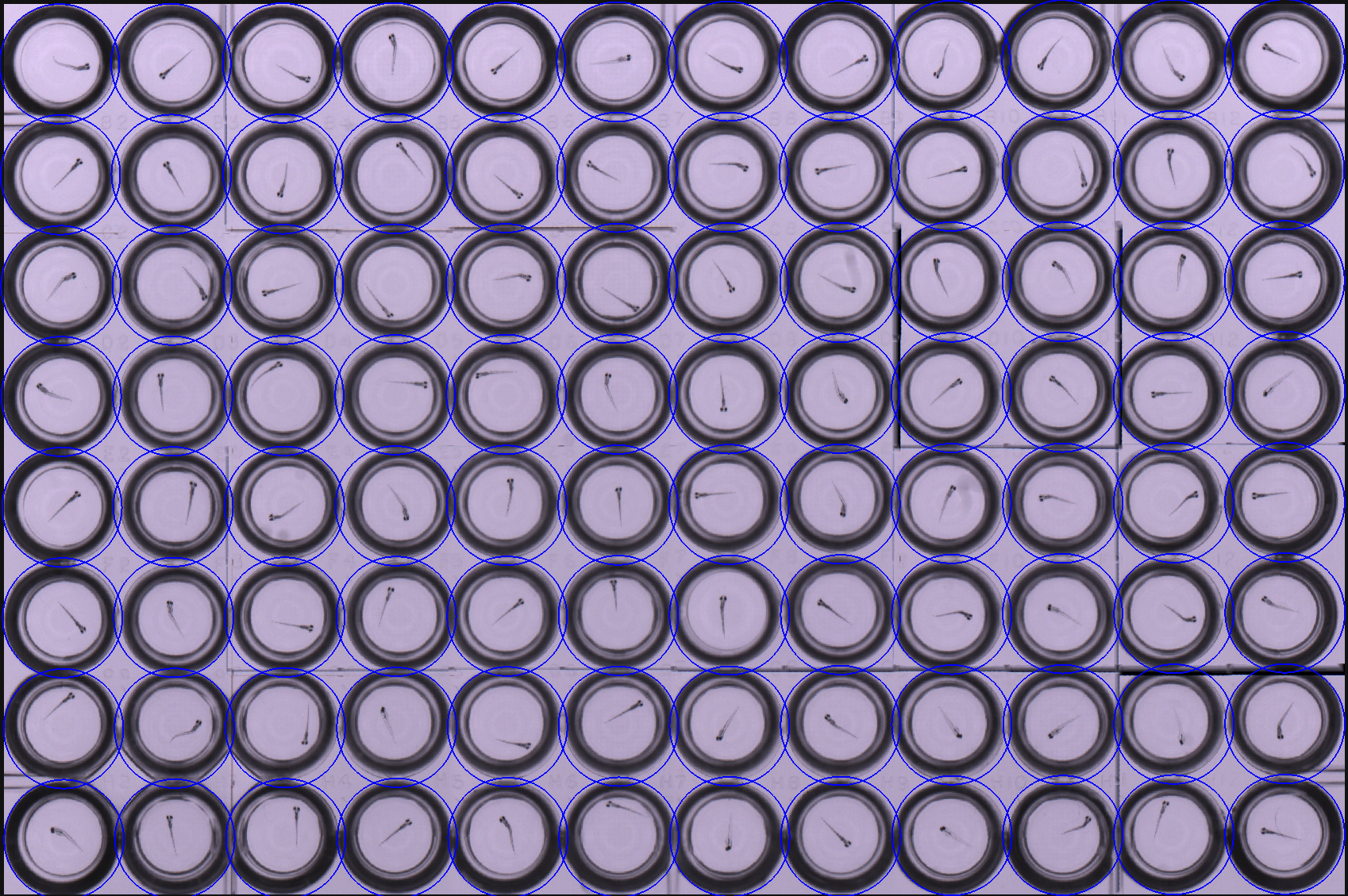 Figure 34