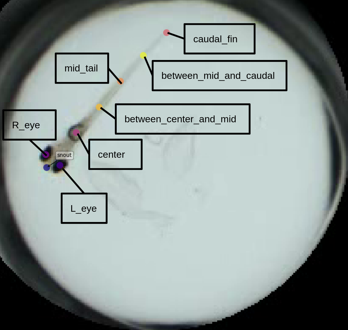 Figure 35