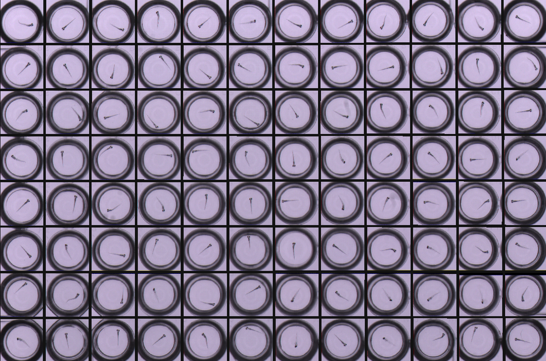Figure 43