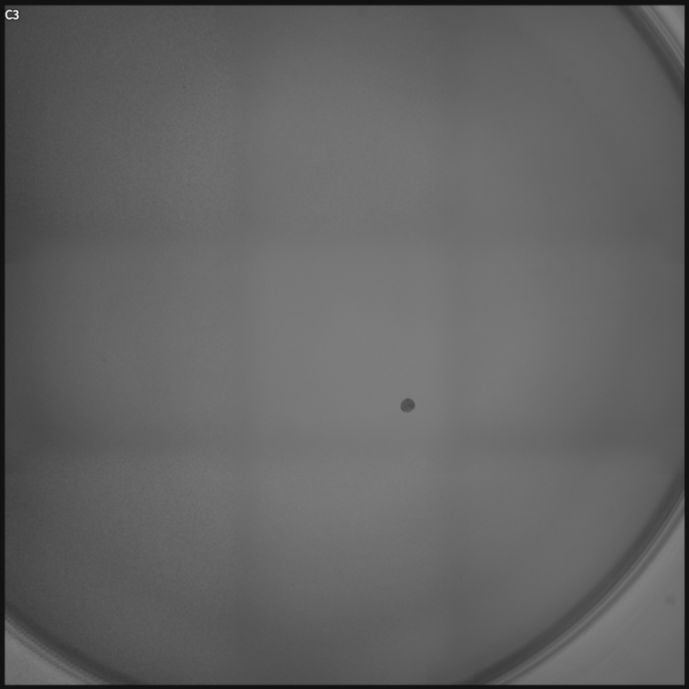Figure 66