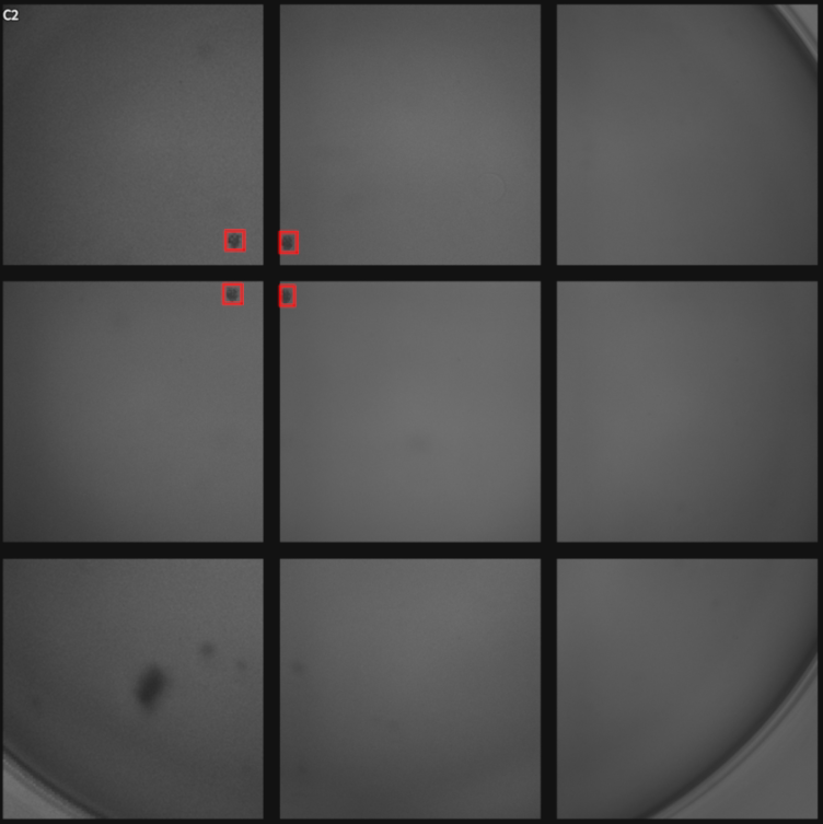 Figure 68