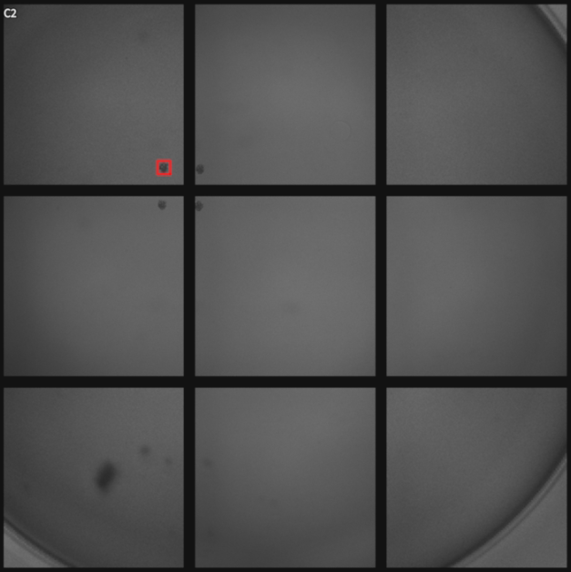 Figure 69